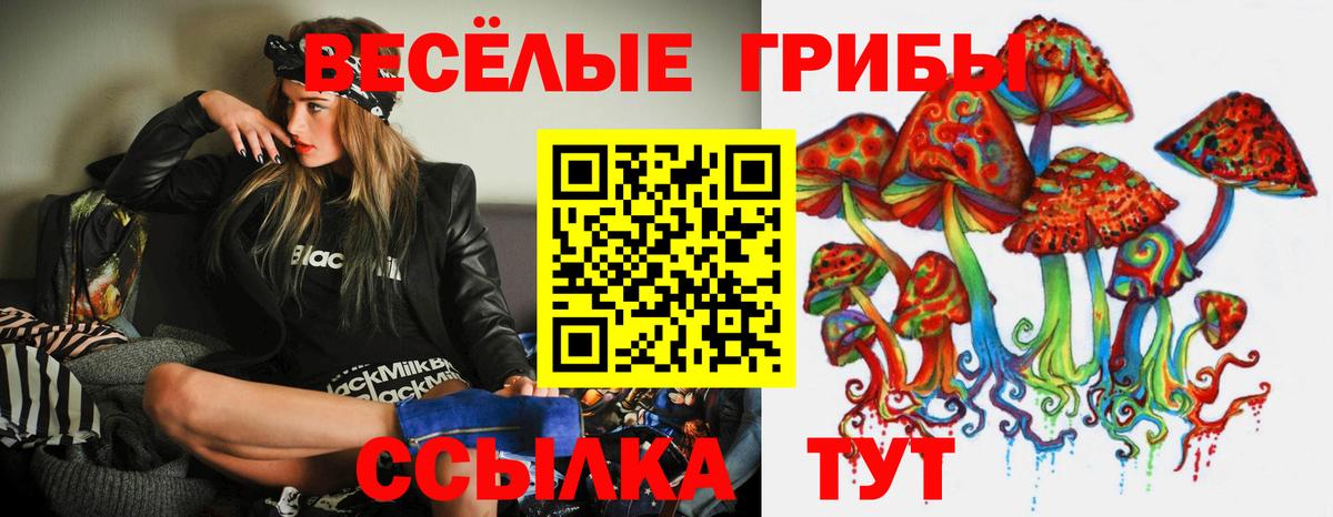 Галлюциногенные грибы мицелий  Вход с VPN  Псилоцибиновые грибы ЛСД  Сокол 